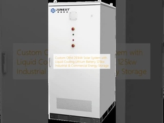 Custom OEM 261kW Solar System with Liquid Cooling Lithium Battery 125kw Industrial & Commercial Energy Storage